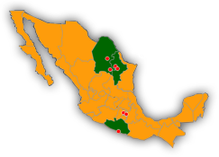 Sucursales Celorio en México